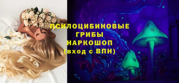 мяу мяу мука Арсеньев