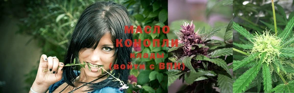 мяу мяу мука Арсеньев
